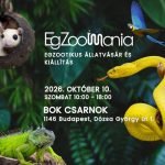 Be Massive Horizon Party – Hotel Tókert Szálloda és Étterem, Miskolc