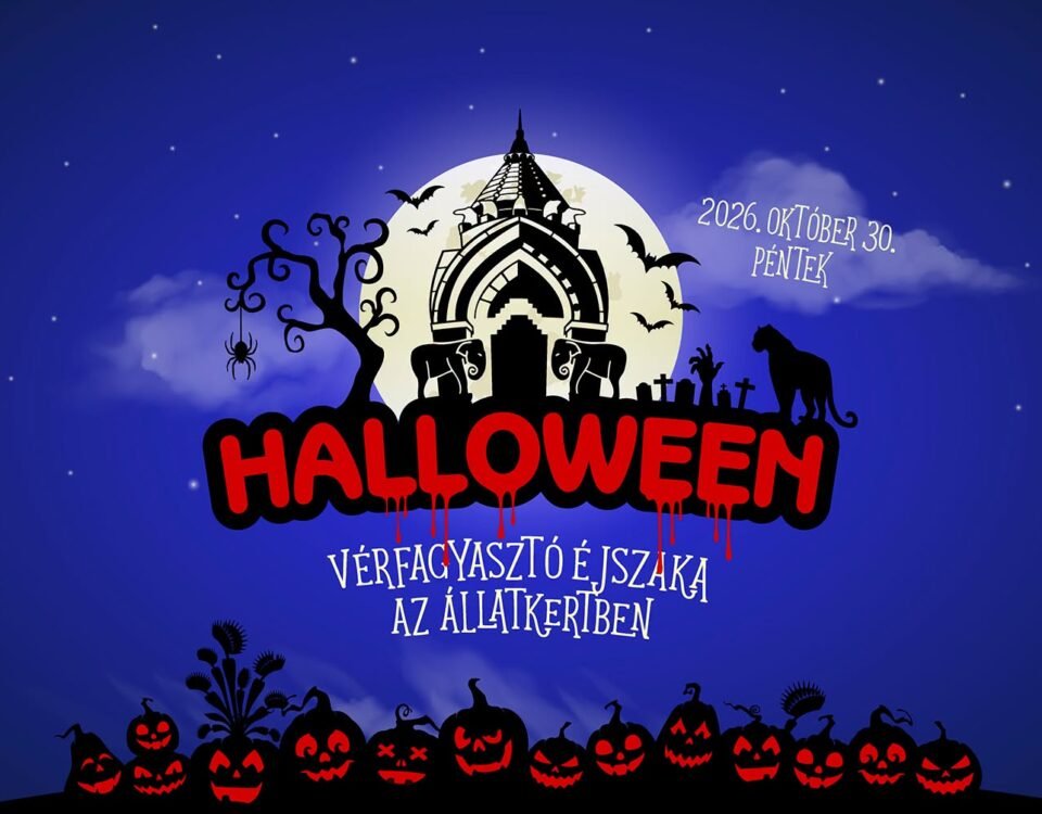 Halloween – Vérfagyasztó Éjszaka a Fővárosi Állat- és Növénykertben